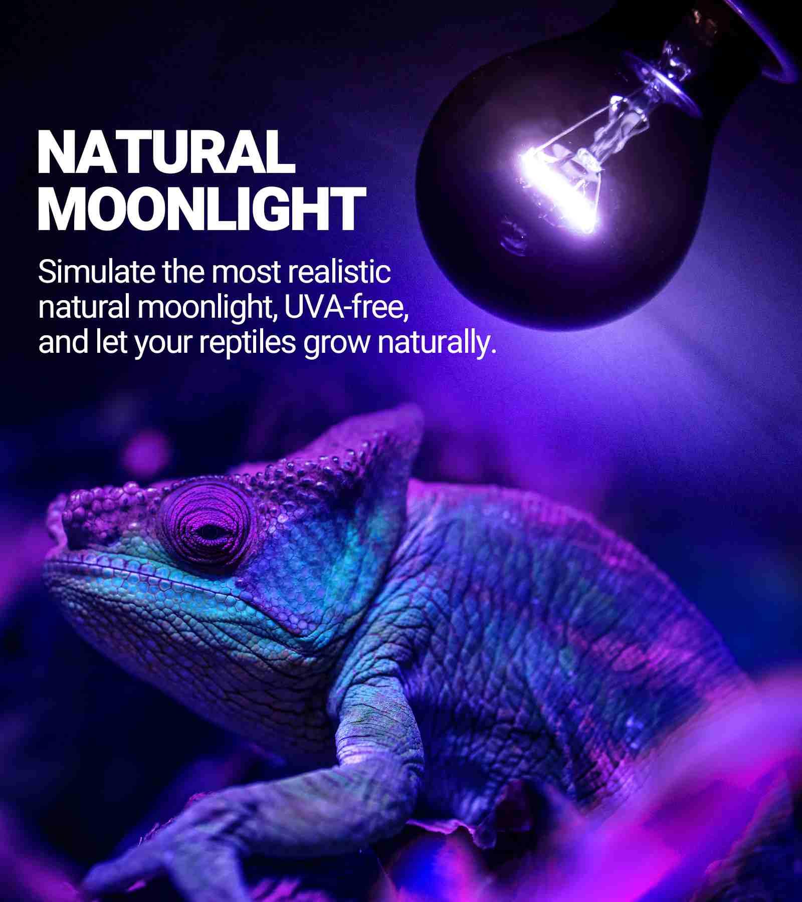 WACOOL Night Heat Lamp Bulb Moonlight Light Glass Heating Lamps Bulbs Secondary image