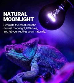 WACOOL Night Heat Lamp Bulb Moonlight Light Glass Heating Lamps Bulbs