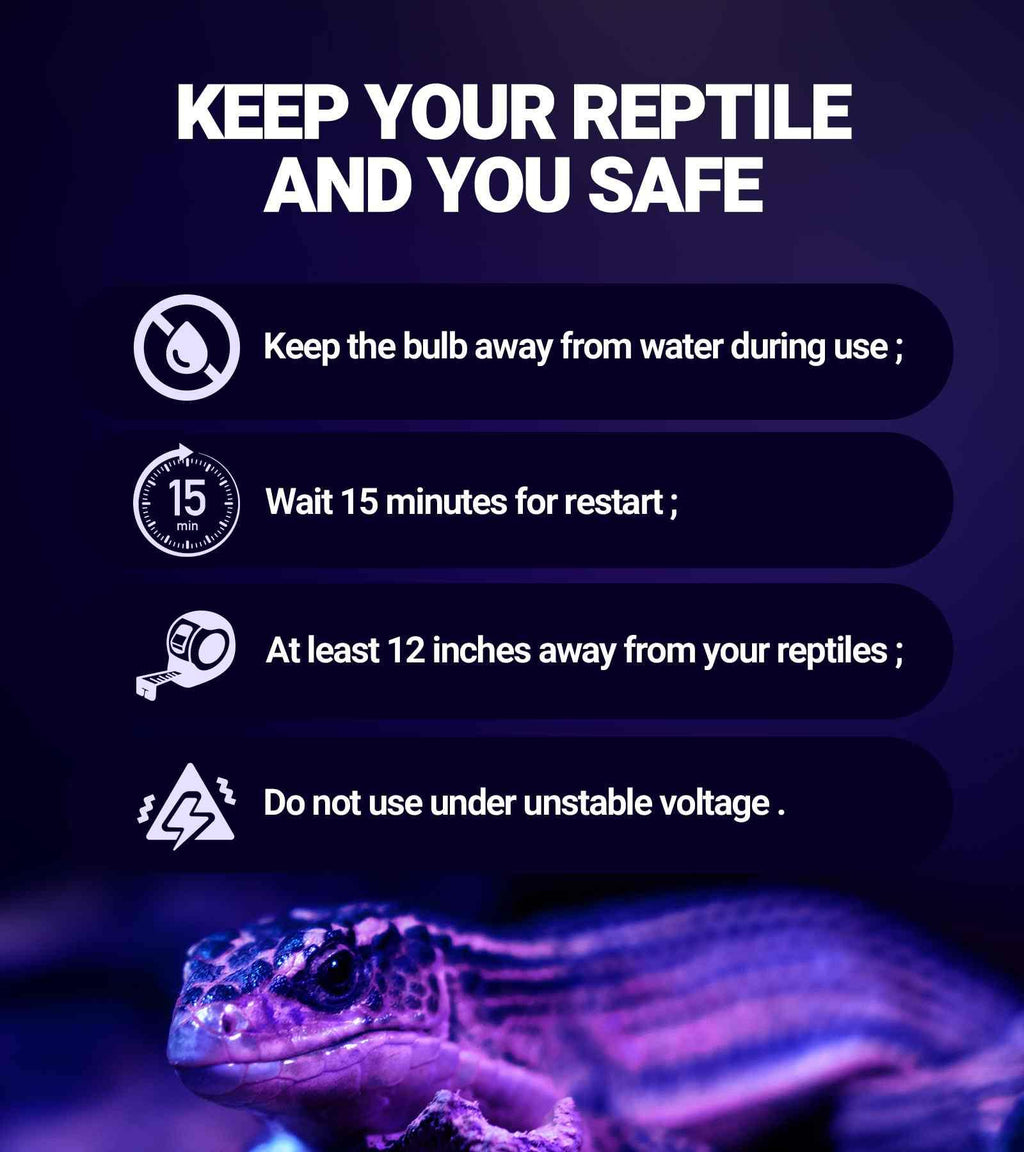 Reptile safety tips for UVB heat light bulb use with a lizard in a terrarium.