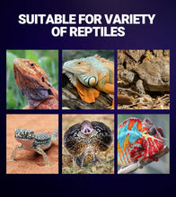 Load image into Gallery viewer, WACOOL Night Heat Lamp Bulb Moonlight Light Glass Heating Lamps Bulbs