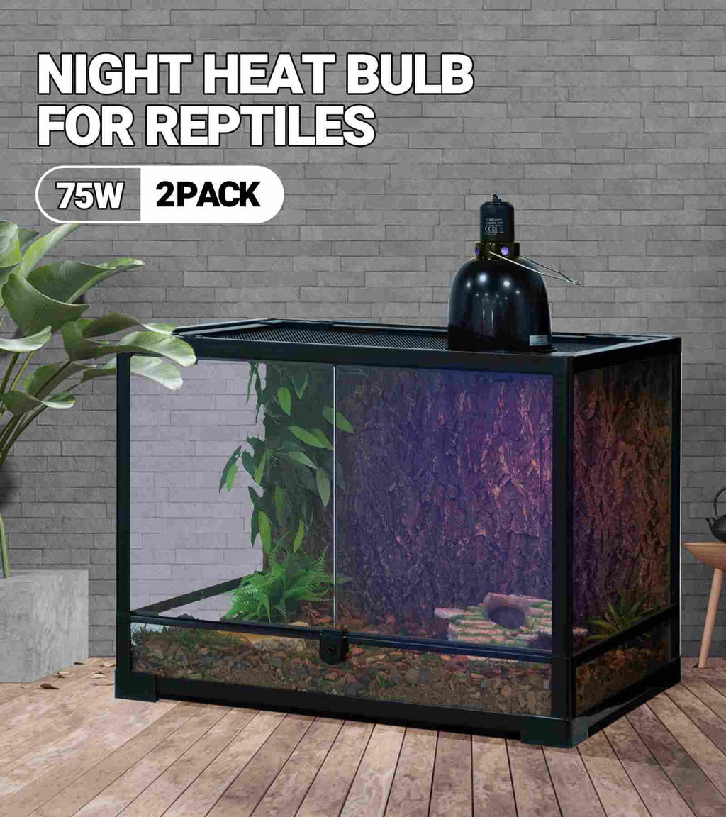 Night heat bulb for reptiles, 75W 2-pack, shown on a terrarium setup with plants and decor.