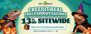 REPTI ZOO