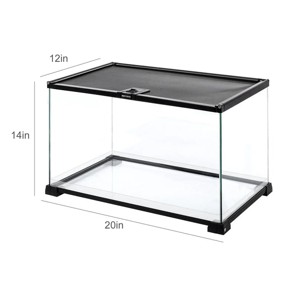Clear glass reptile terrarium with black top, mesh lid, and dimensions 20x12x14 inches.