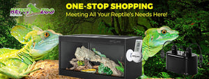 REPTI ZOO