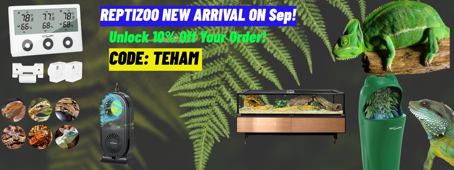 Reptizoo Provides The Perfect Reptile Habitats REPTI ZOO