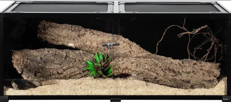 Large glass reptile terrarium with sand substrate, cork bark, climbing branches, and green plant Main image