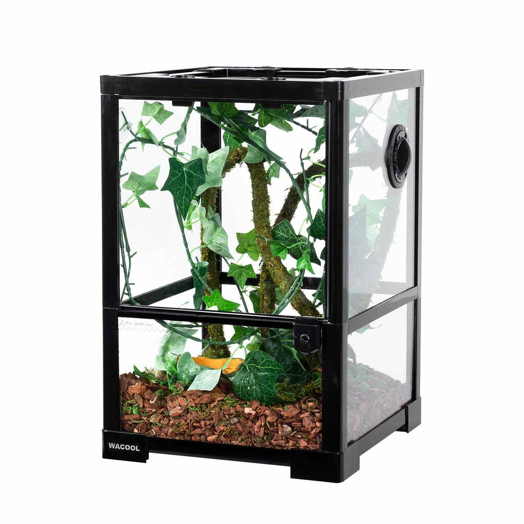 Glass reptile terrarium with ventilation, tropical plants, and natural substrate