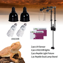 REPTIZOO 30gallon 50gallon 67gallon Small Tank Starter Kitspecific Bearded Dragon Glass Tanks Equipments - REPTI ZOO