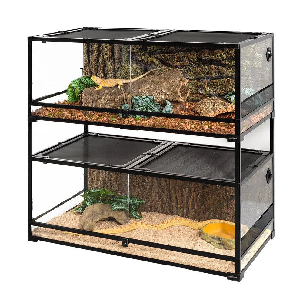 Stacked glass reptile terrarium cages with background decor, plants, and climbing branches.