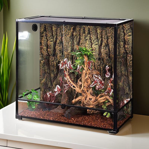 100 gallon reptile terrarium with glass walls, naturalistic décor, and bark backdrop