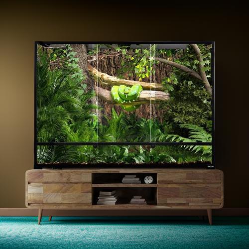 Large glass reptile terrarium with lush tropical plants and a snake, placed on a wooden stand