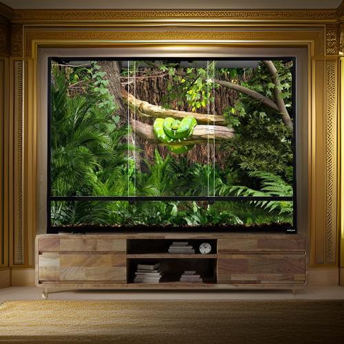 Large reptile terrarium with glass panels, lush greenery, and a green snake on a branch