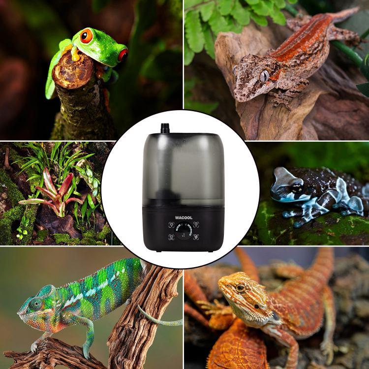 Reptile terrarium humidifier surrounded by frogs, geckos, chameleons, and plants.