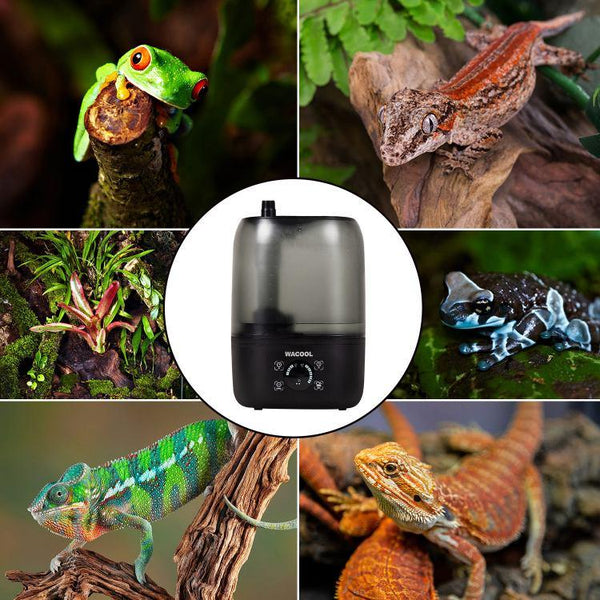 Reptile terrarium humidifier surrounded by frogs, geckos, chameleons, and plants.