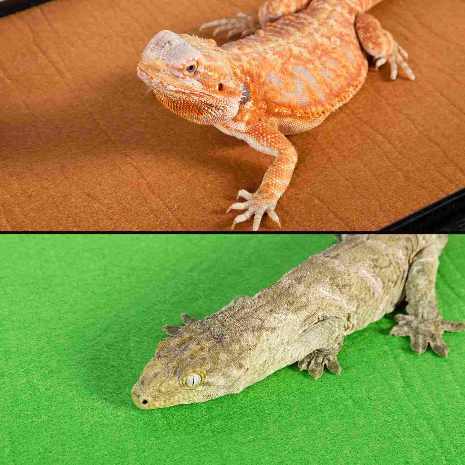 WACOOL reptile carpets mat Secondary image