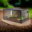 Glass reptile terrarium with natural habitat setup, background plants and logs.
