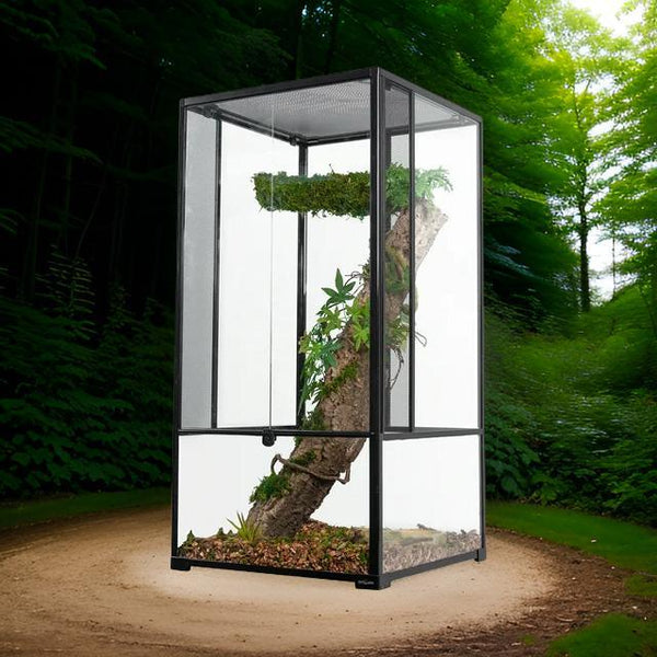 Large vertical reptile terrarium with screen sides, natural wood, and live plants inside