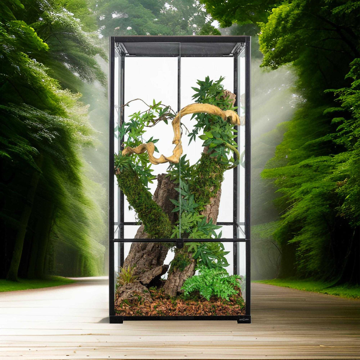 Tall glass reptile terrarium with natural vines, plants, and wood in a forest setting Main image