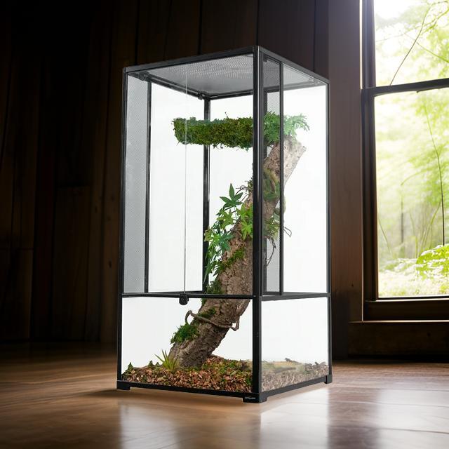 Tall glass reptile terrarium with climbing branch, green plants, and natural decor