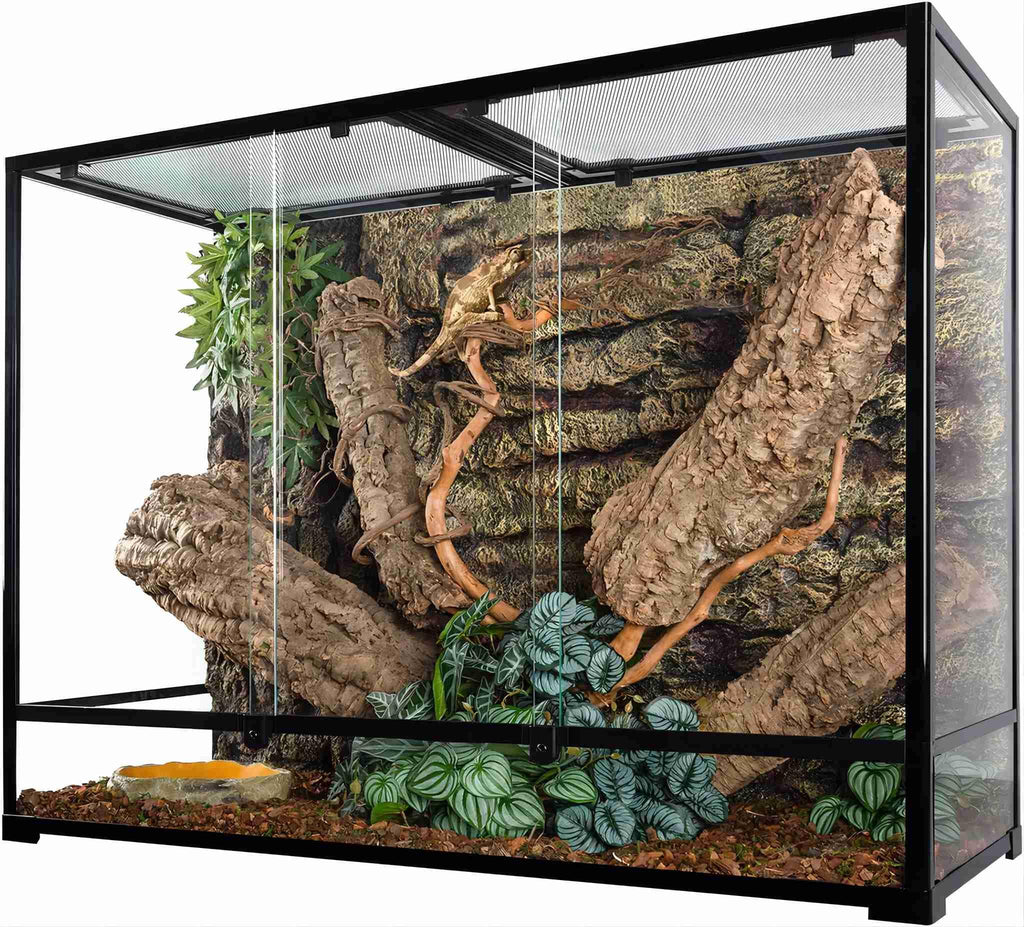 Large glass reptile terrarium with background, climbing branches, plants, and secure screen top