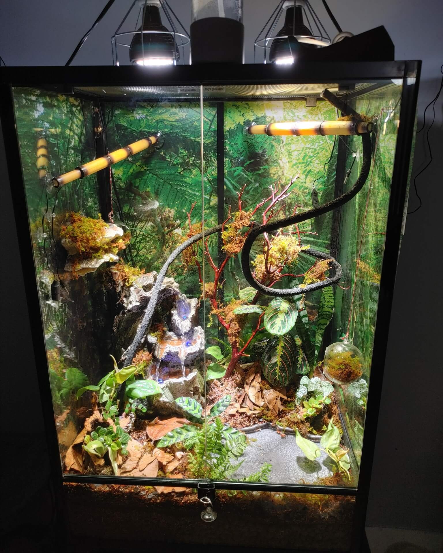 reptizoo_tank_635348e9-107c-4f92-a72a-8e9258818ae4.jpg?v=1656053574