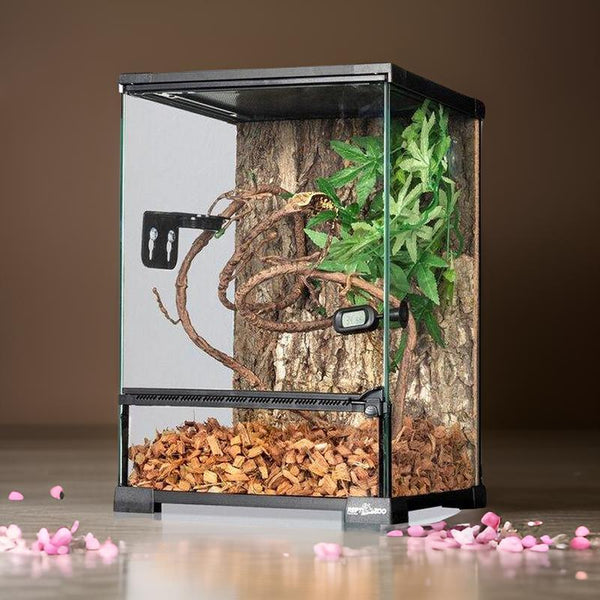 Small glass reptile terrarium with branches, bark, artificial plants, and wood chip substrate