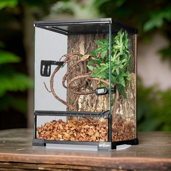 Glass vertical reptile terrarium with wood chips, vines, and plants on a wooden table outdoors.