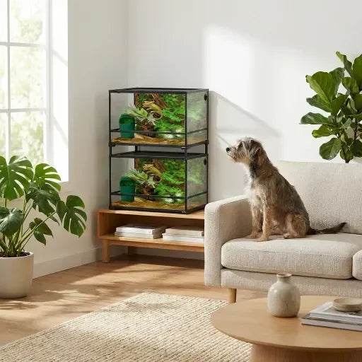 Stacked glass reptile terrariums with tropical plants in a modern living room, dog on sofa.