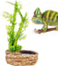 REPTIZOO Water Fountain Bamboo Plant Water Dripper for Chameleon Lizard DF05 - REPTI ZOO