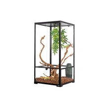 Load image into Gallery viewer, REPTI ZOO 48 Gallon 18&quot; x 18&quot;x 36&quot; Vertical Reptile Terrarium , Front Opening Glass Reptile Cage for Chameleon Iguana RK454590 - REPTI ZOO