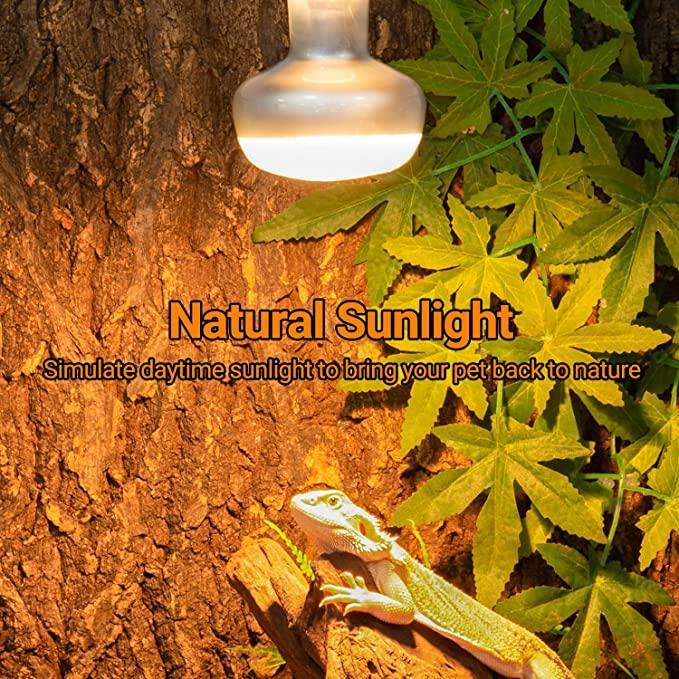 REPTI ZOO 2PCS 100W Reptile Heat Lamp Sunlight UVA Lighting Heating Lamp FCB100 Secondary image