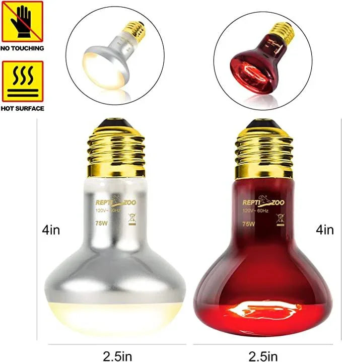 REPTIZOO 75W Reptile Heat Lamp Bulb 2PCS Combo Pack Includes Nightlight Infrared Heat Emitter and UVA Daylight Heating Lamp Secondary image