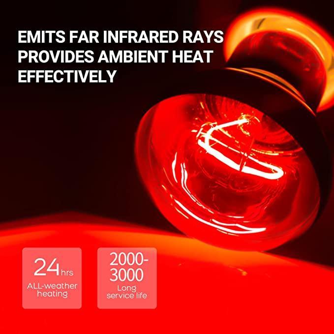 REPTIZOO 75W Reptile Heat Lamp Bulb 2PCS Combo Pack Includes Nightlight Infrared Heat Emitter and UVA Daylight Heating Lamp - REPTI ZOO