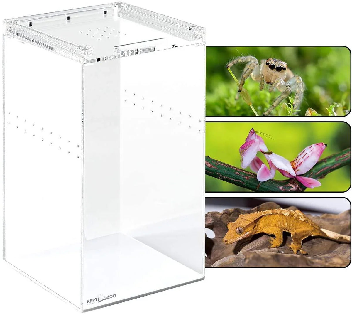 REPTI ZOO 1.4 Gallon 6“x6”x9“ Magnetic Acrylic Case - REPTI ZOO