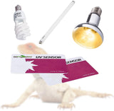REPTI ZOO UVB Tester Reptile Lamp UV Sensor Reptile UVA UVB Fluorescent Lamp Tester Card, Set of 2