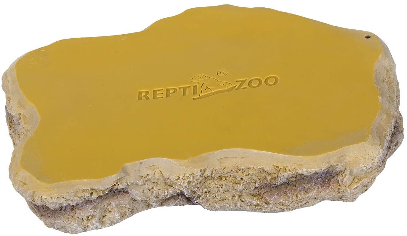 Reptile Feeding Dish Bulk Buy clc.cet.edu