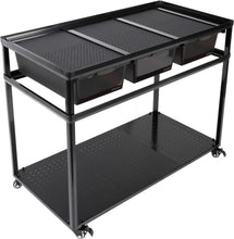 Load image into Gallery viewer, REPTIZOO Stackable Breeding Boxes Rack with Rolling Wheels Tank Stand - REPTI ZOO
