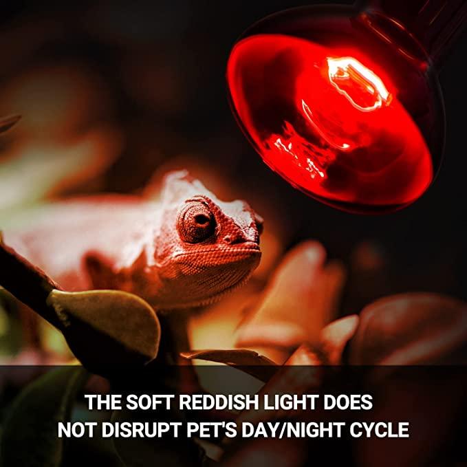 REPTIZOO 75W Reptile Heat Lamp Bulb 2PCS Combo Pack Includes