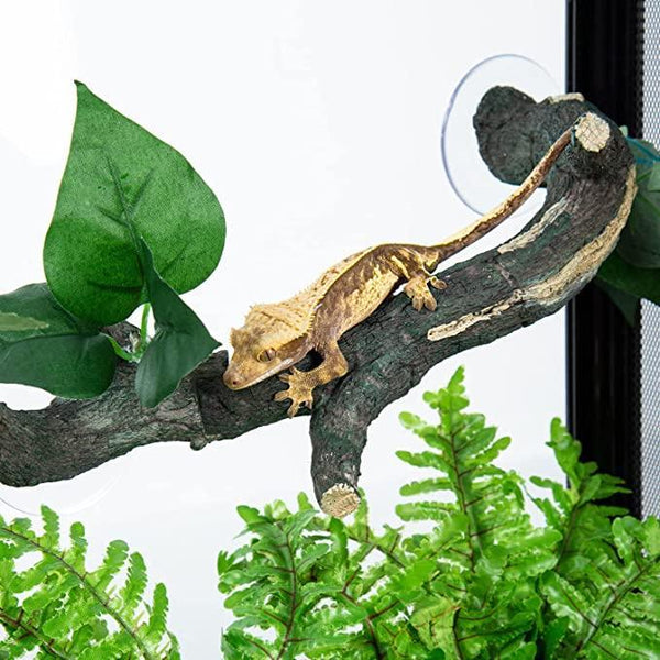 REPTIZOO 3Pcs Reptile Climbing Branch Terrarium Plants Decor DR08 - REPTI ZOO