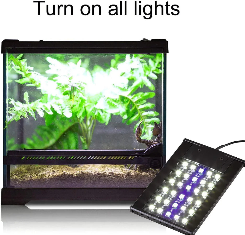 REPTI ZOO Terrarium Light Day and Night Mode Reptile LED Light Hood for Reptile Terrarium White Light and Blue Light Fit for Different Pet Habits - REPTI ZOO