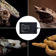 Load image into Gallery viewer, Upgrade Reptile Heat Mat with Thermostat - For Hermit Crab Snake Lizard - REPTI ZOO