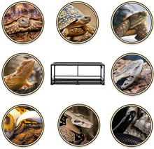 Load image into Gallery viewer, REPTI ZOO 48&quot; x 18&quot; x 18&quot; Reptile Large Terrarium 67 Gallon Newly Upgraded All Glass, Double Hinge Door Reptile Terrarium(Knock-Down) RK0222A - REPTI ZOO