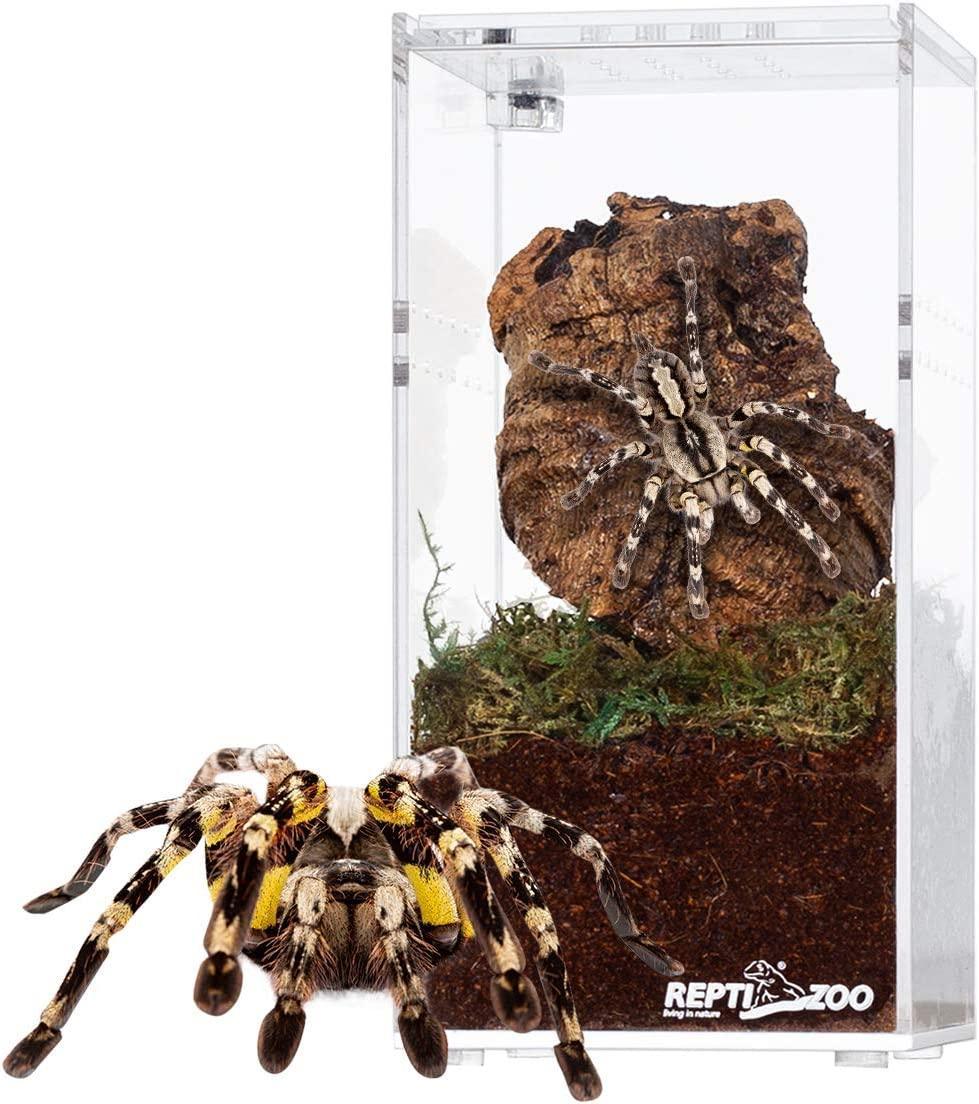 REPTI ZOO Magnetic Acrylic Reptile Breeding Box 3"x3"x6" Transparent Feeding Box - REPTI ZOO