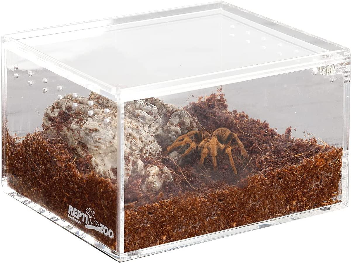 Mini square spiderling container – Reptilian Arts