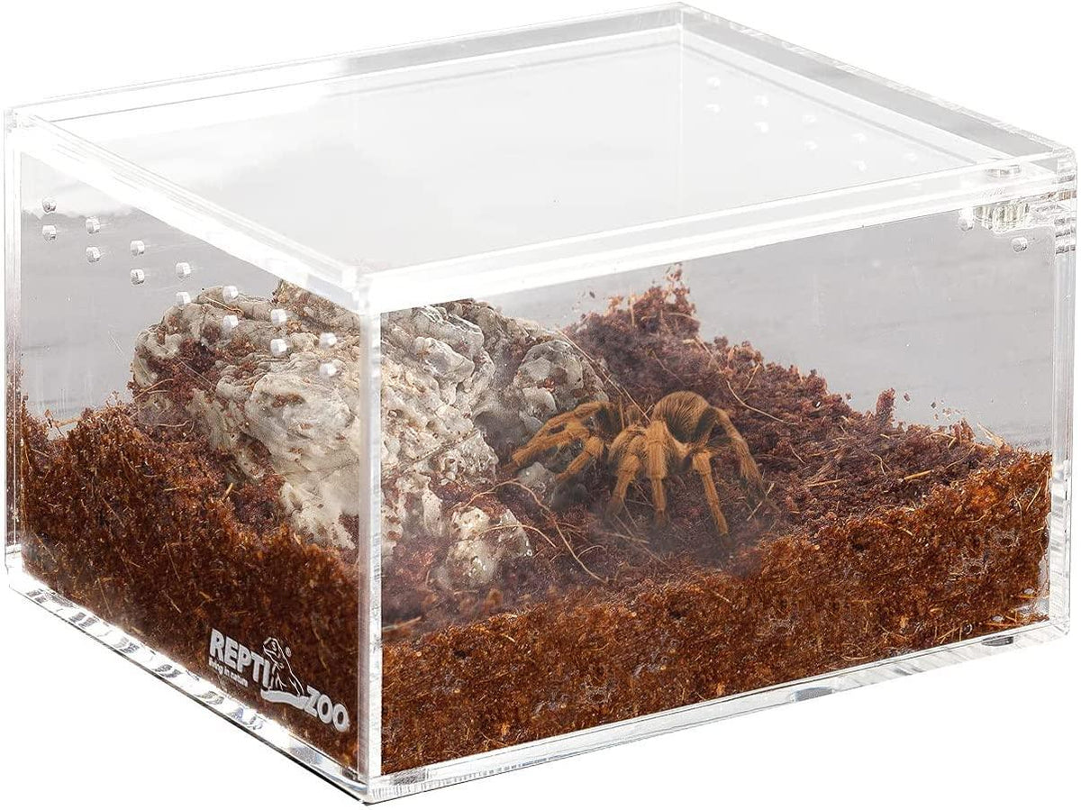 REPTI ZOO Insect Feeding Box Magnetic Acrylic