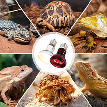 Load image into Gallery viewer, REPTIZOO 2PCS 75W Reptile Heat Lamp Bulb Day &amp; Night Heat Lamp Pack BR63075 - REPTI ZOO