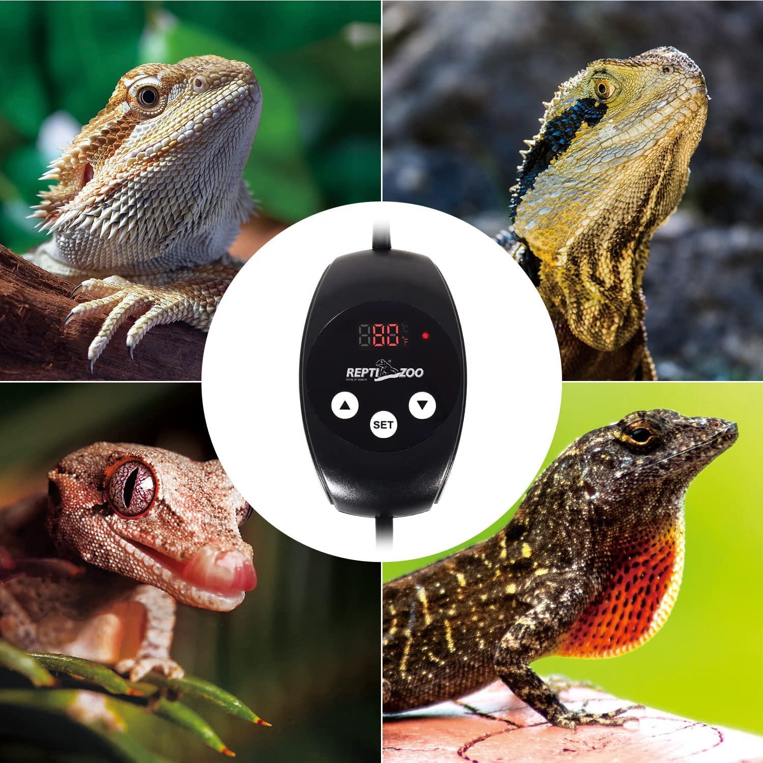 Herp Italia - Terrari ed accessori per rettili ed animali esotici -  Microclimate EVO LITE: 78,00€ E` un termostato digitale touch screen, che  vi permetterà di gestire al meglio le temperature all'interno