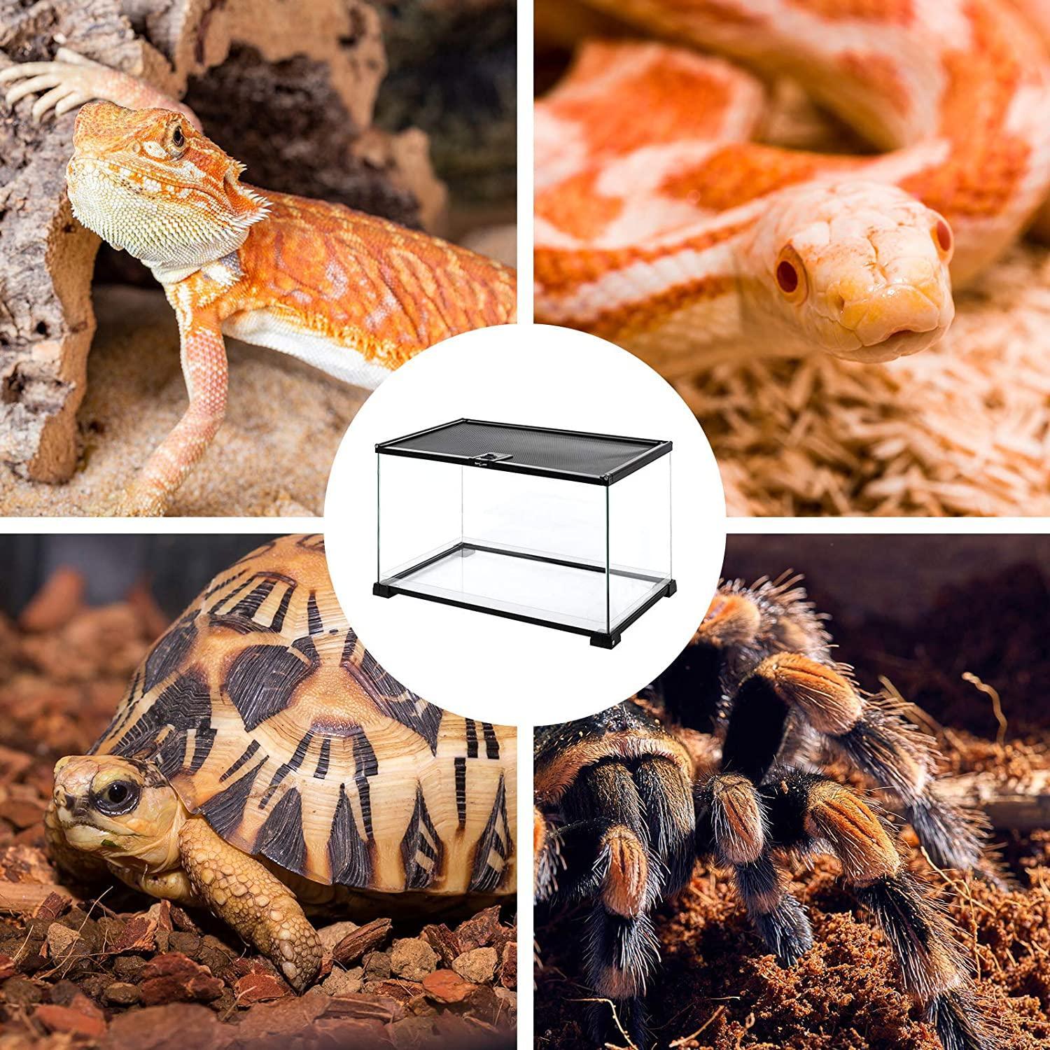 REPTI ZOO 15 Gallon Sized 20" x 12" x 14" Reptile Tank RAK05 Secondary image