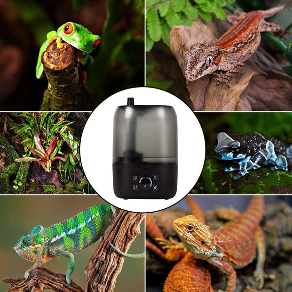 4L Reptile Fogger Mister for Reptile Terrariums， Humidifier Digital Tank Timing Terrarium Humidifier Smart Touch Screen Mister TF03 - REPTI ZOO