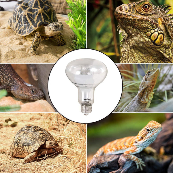 REPTI ZOO Reptile 2PCS Heat Lamp Full Spectrum UVA UVB Reptile Sun Lamp for Reptile pets - REPTI ZOO
